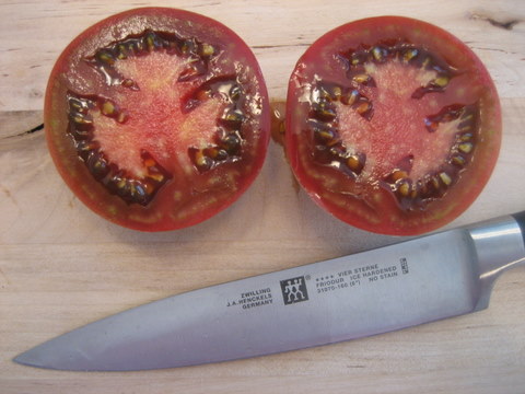 cutting a tomato