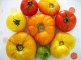 heirloom tomato seeds